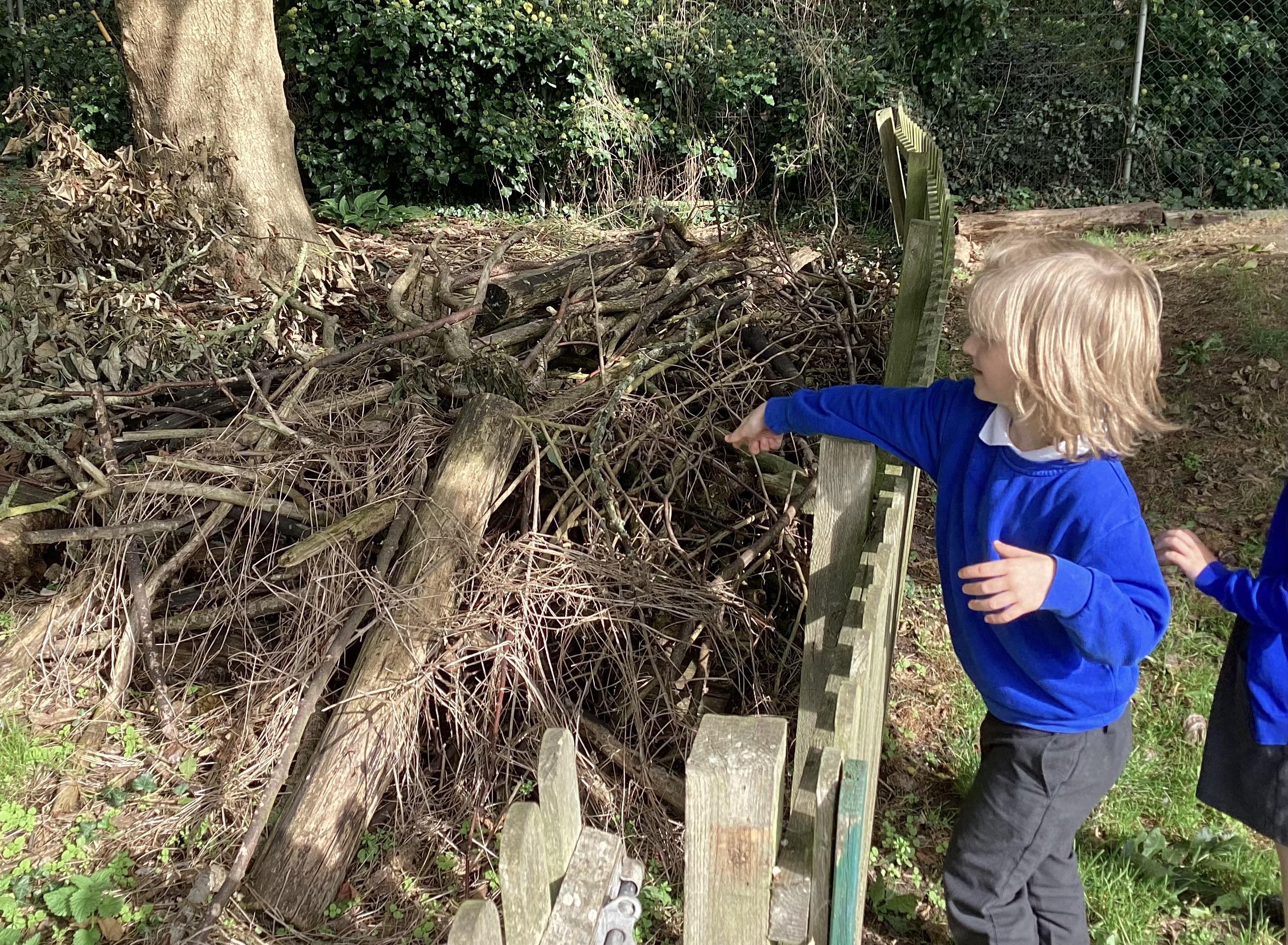 In science we have been investigating habitats including the school woodland area.